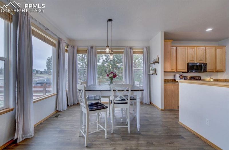 10307 Ross Lake Dr, Peyton, CO 80831