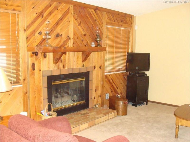 1033 Hans Brinker St, Colorado Springs, CO 80907