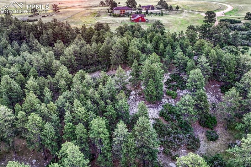 10345 Little Moon Trl, Elbert, CO 80106