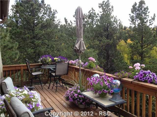 1037 Cottonwood Lake Dr, Divide, CO 80814