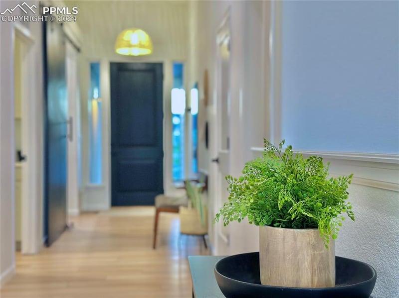 1037 Seabiscuit Dr, Colorado Springs, CO 80921