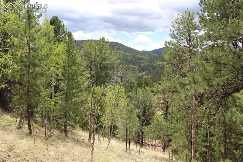 104 Rainbow Ct, Divide, CO 80814