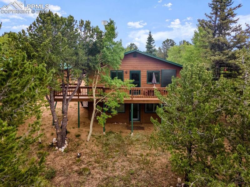 1040 Cantiberry Rd, Divide, CO 80814