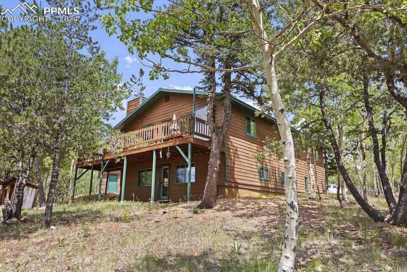 1040 Cantiberry Rd, Divide, CO 80814