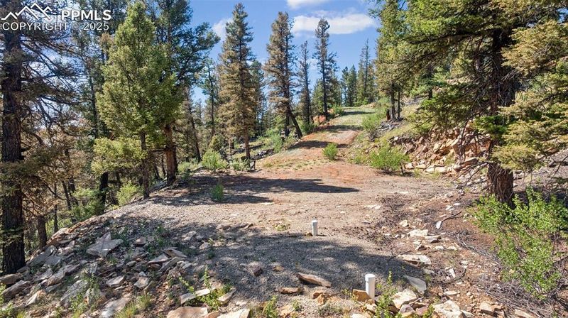 1050 Middle Fork Vi, Fairplay, CO 80440