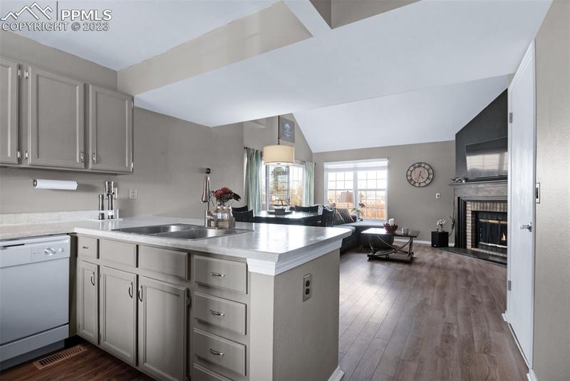 1056 S Lindsey St, Castle Rock, CO 80104