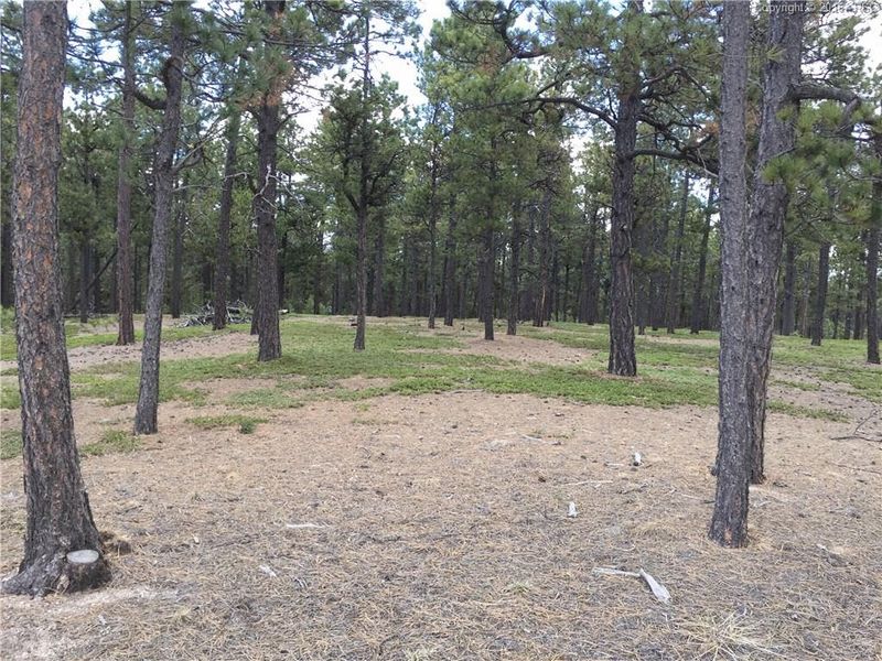 10580 Elizabeth Way, Colorado Springs, CO 80908