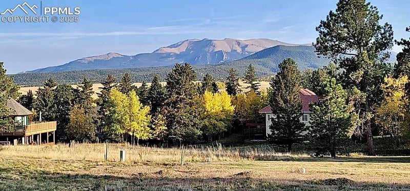 106 Stephanie Pl, Divide, CO 80814