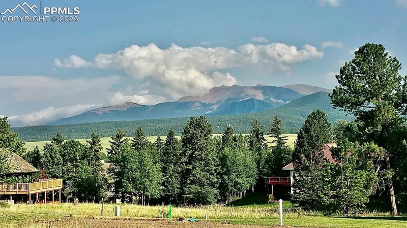 106 Stephanie Pl, Divide, CO 80814