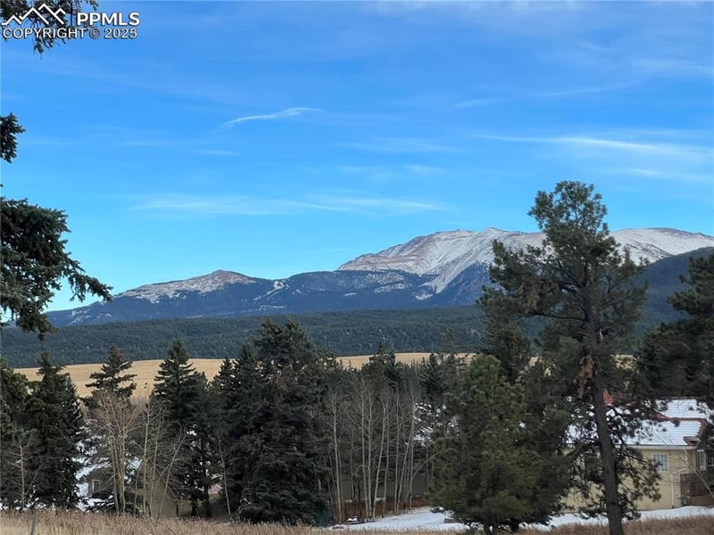106 Stephanie Pl, Divide, CO 80814