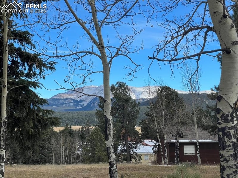 106 Stephanie Pl, Divide, CO 80814