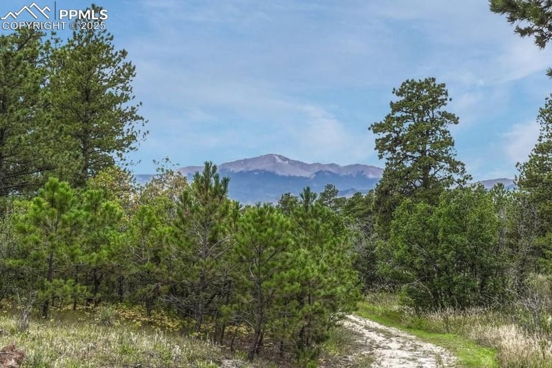 10625 Milam Rd, Colorado Springs, CO 80908