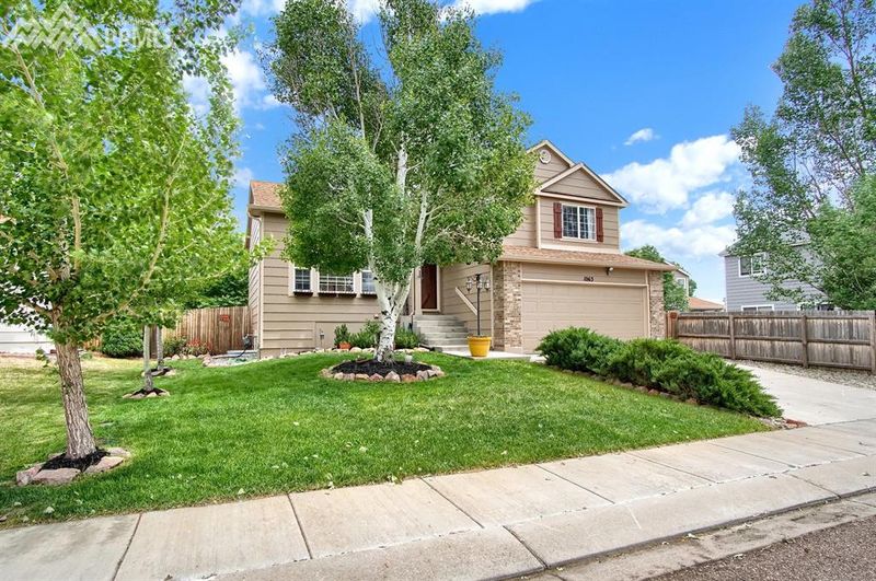 1063 Clogger Ln, Fountain, CO 80817