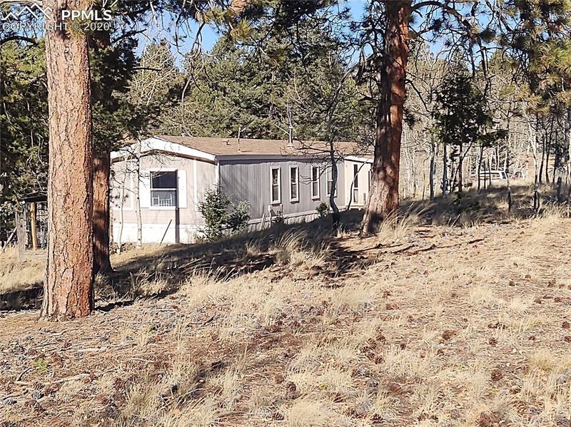 107 Starview Trl, Divide, CO 80814