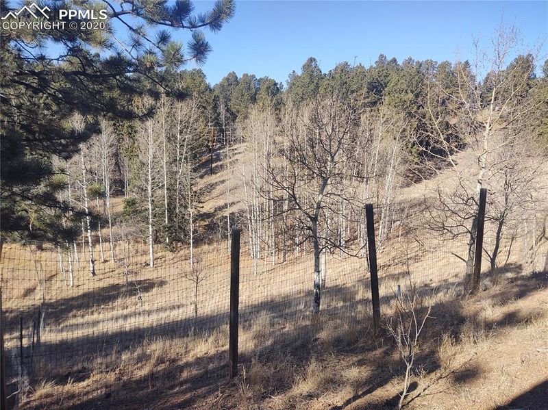 107 Starview Trl, Divide, CO 80814