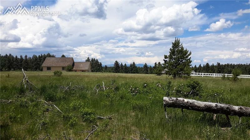 107 Stephanie Pl, Divide, CO 80814