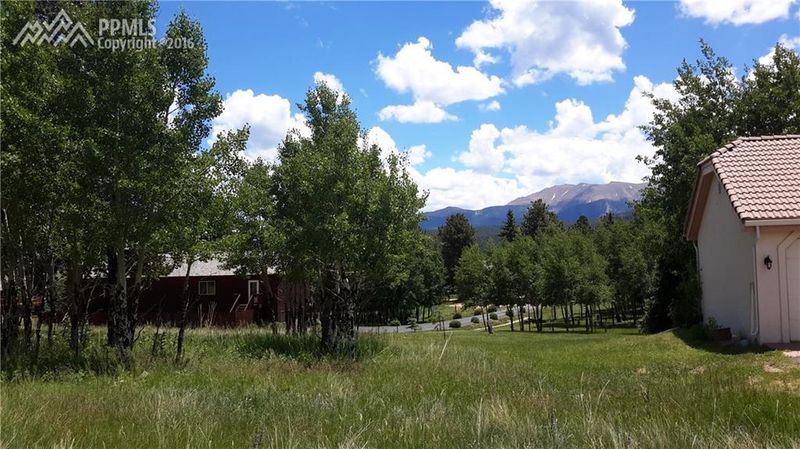 107 Stephanie Pl, Divide, CO 80814