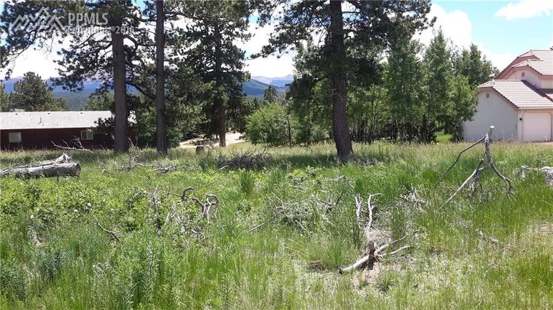 107 Stephanie Pl, Divide, CO 80814