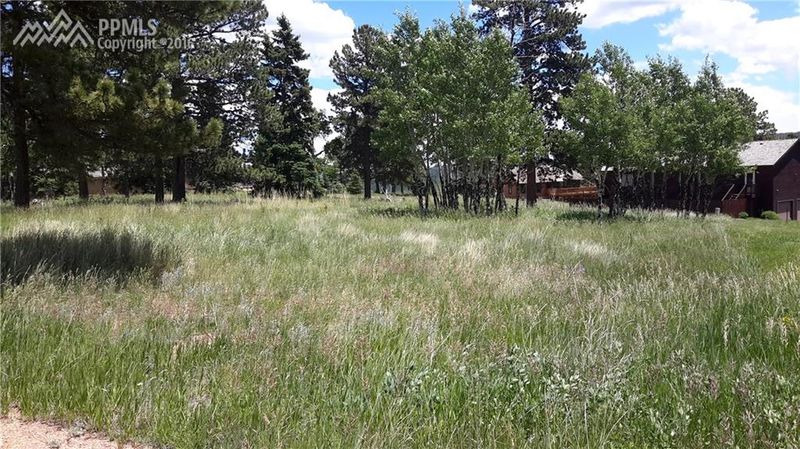 107 Stephanie Pl, Divide, CO 80814