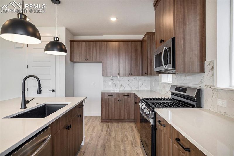10721 Lewanee Point, Colorado Springs, CO 80908
