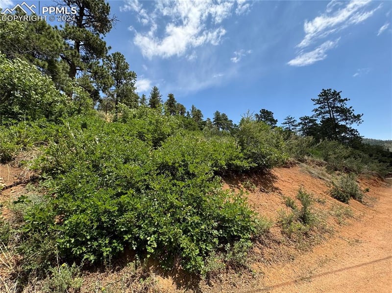 10730 Florence Ave, Green Mountain Falls, CO 80819
