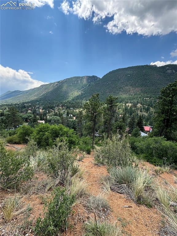 10730 Florence Ave, Green Mountain Falls, CO 80819