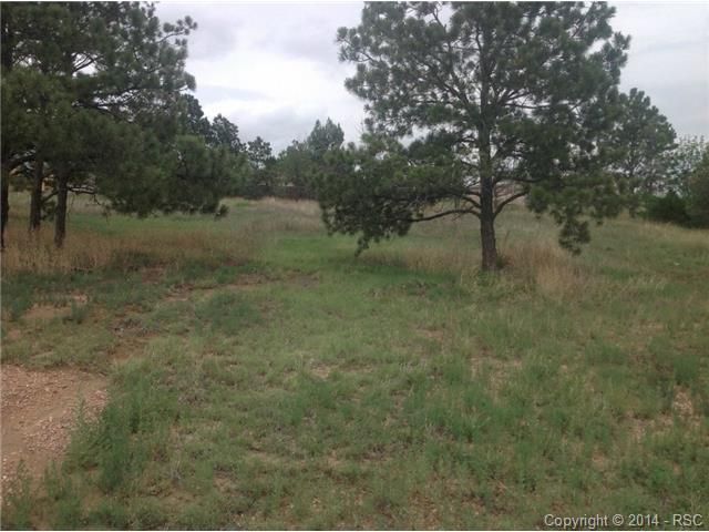 10775 Falling Star Rd, Fountain, CO 80817