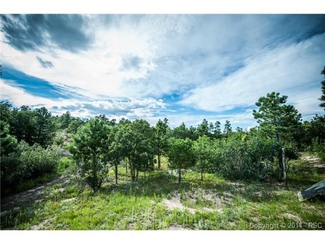 10775 S Forest Dr, Colorado Springs, CO 80908