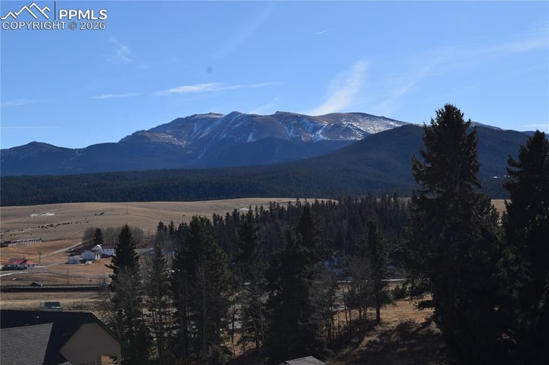 108 Allison Pl, Divide, CO 80814
