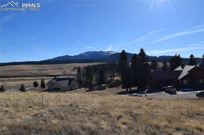 108 Allison Pl, Divide, CO 80814