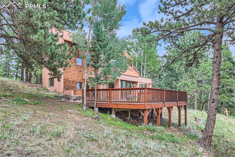 108 Cedar Trl, Woodland Park, CO 80863