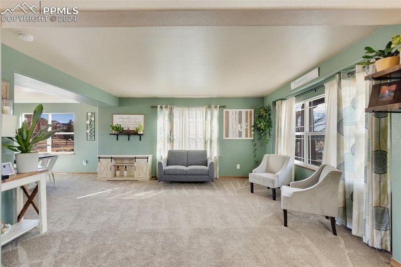 10813 Torreys Peak Way, Peyton, CO 80831