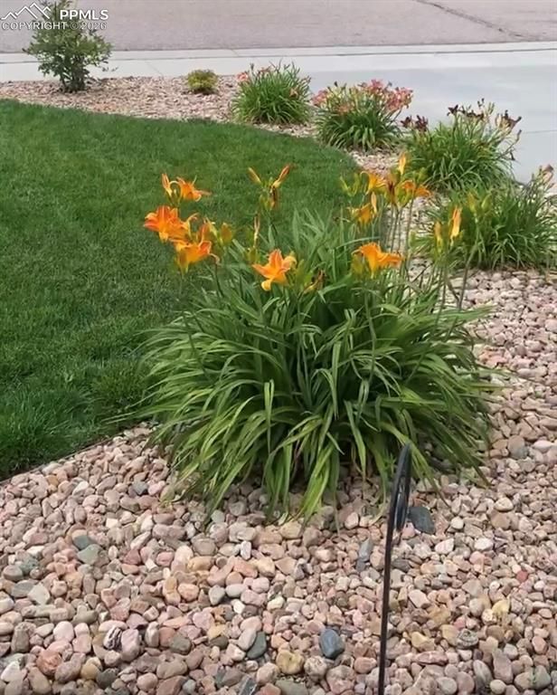 10853 Torreys Peak Way, Peyton, CO 80831