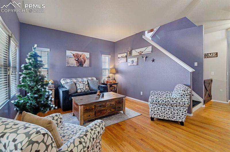 10893 Bonnebelle Cir, Peyton, CO 80831
