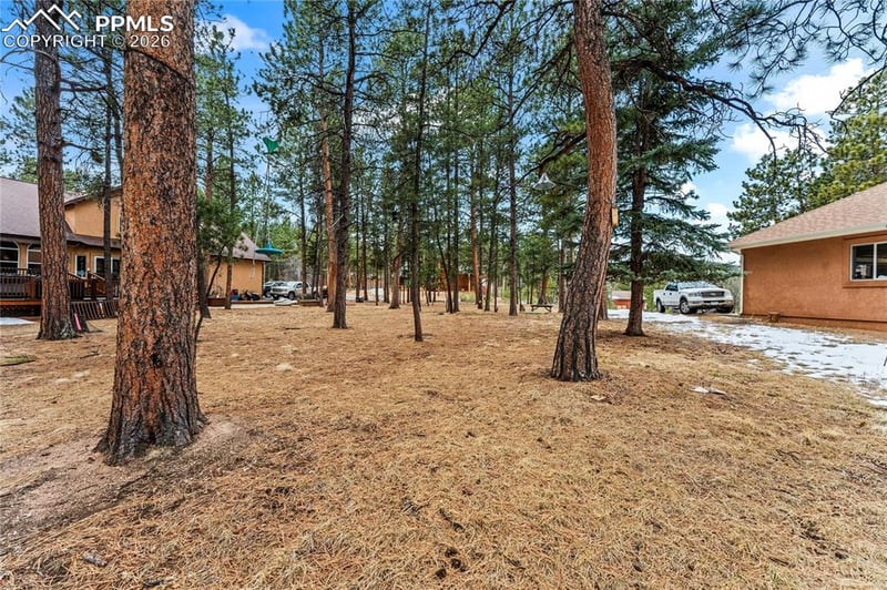 109 Flagstick Dr, Woodland Park, CO 80863