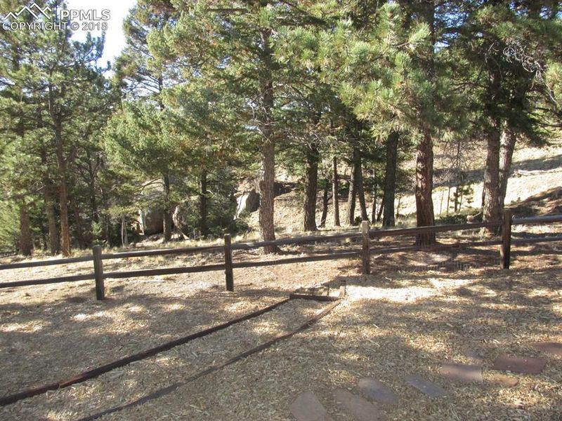 109 Silbani Ln, Divide, CO 80814
