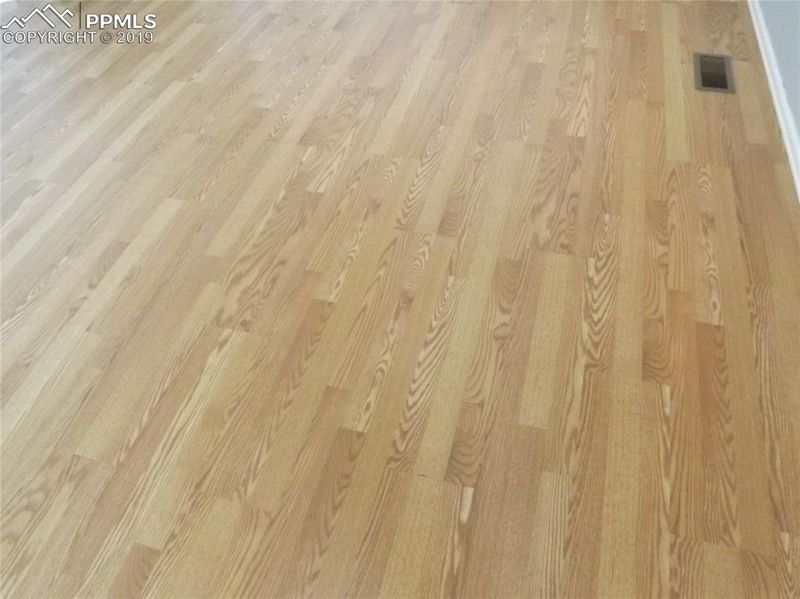 10935 Tidal Run Cir, Colorado Springs, CO 80817