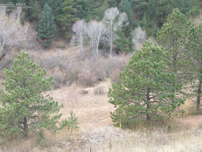 10945 W Highway 24 Hw, Green Mountain Falls, CO 80819