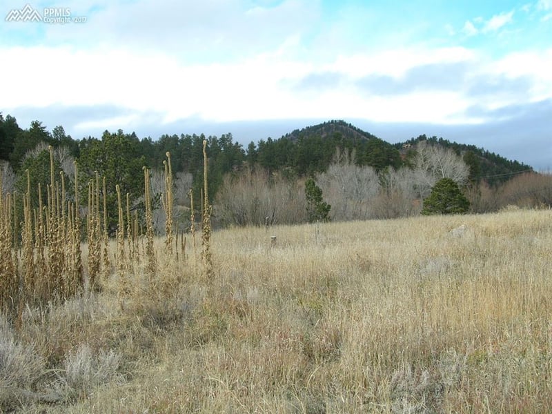 10945 W Highway 24 Hw, Green Mountain Falls, CO 80819