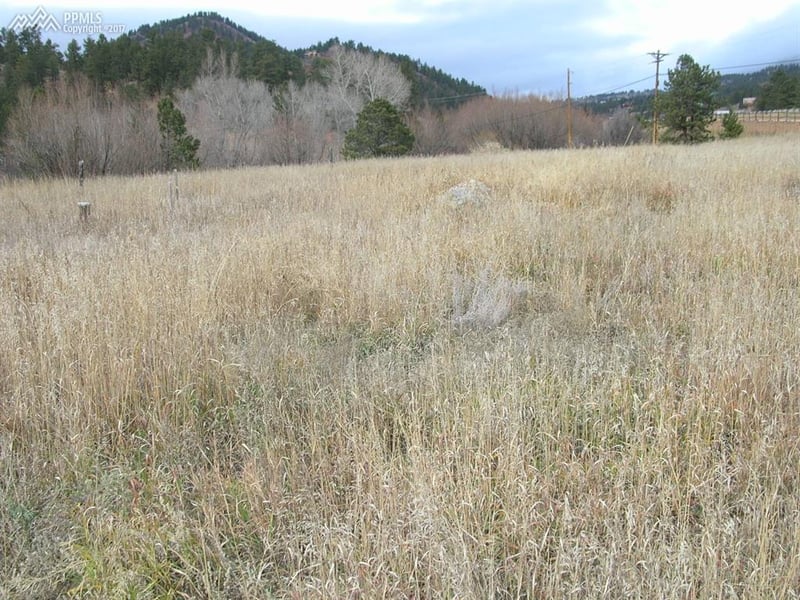 10945 W Highway 24 Hw, Green Mountain Falls, CO 80819