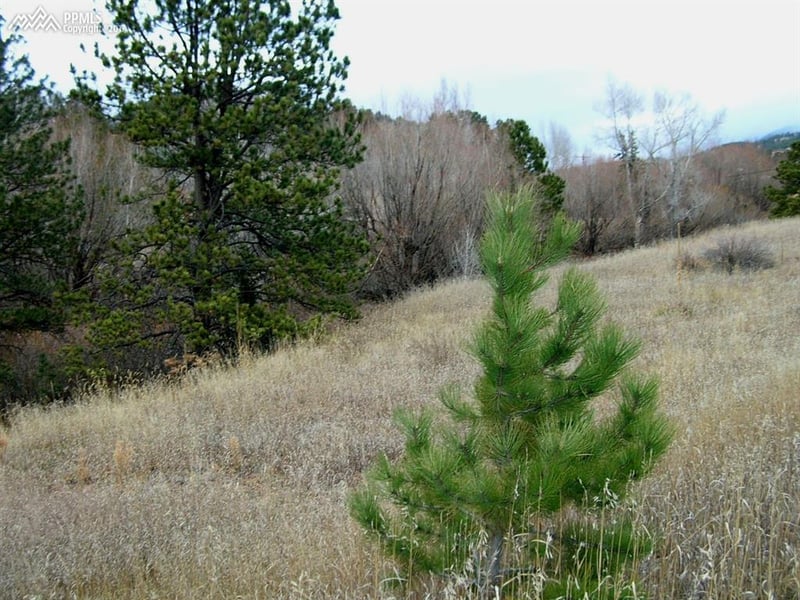 10945 W Highway 24 Hw, Green Mountain Falls, CO 80819