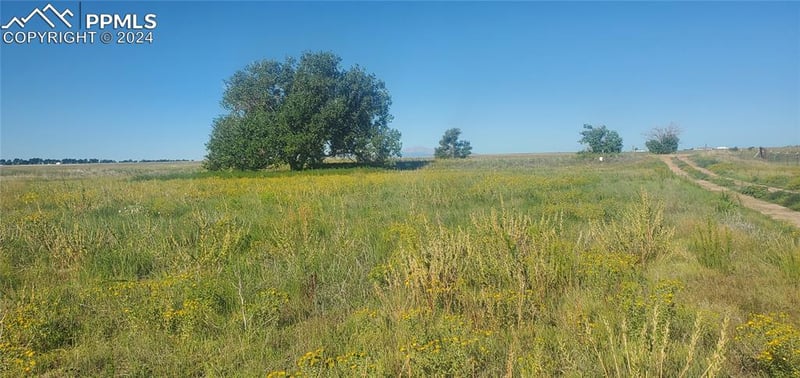 10975 Mcclelland Rd, Colorado Springs, CO 80808