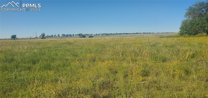 10975 Mcclelland Rd, Colorado Springs, CO 80808