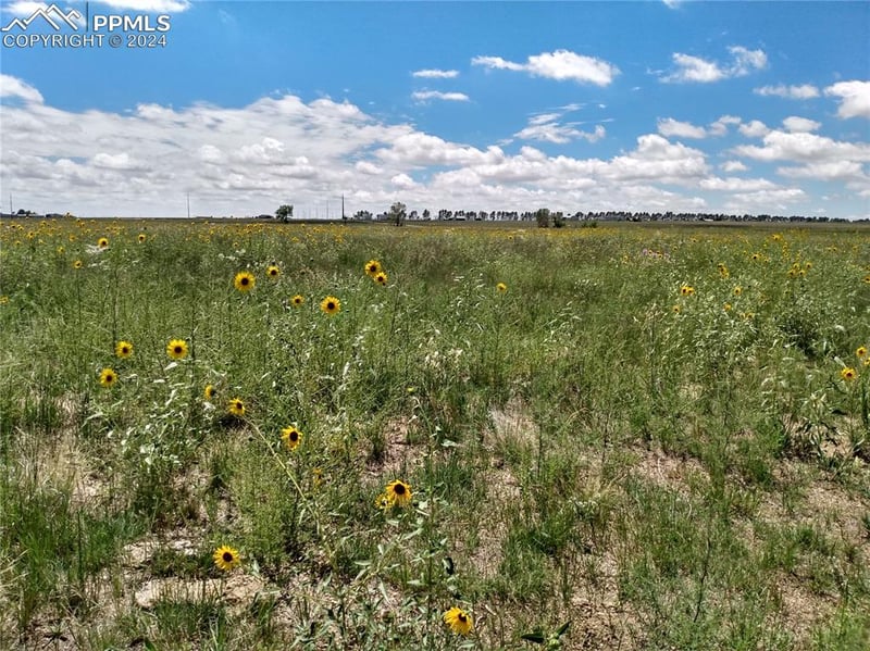 10975 Mcclelland Rd, Colorado Springs, CO 80808