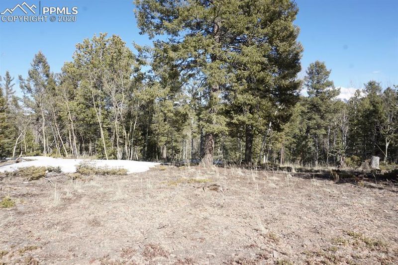 11 Kutsu Ridge Rd, Divide, CO 80814
