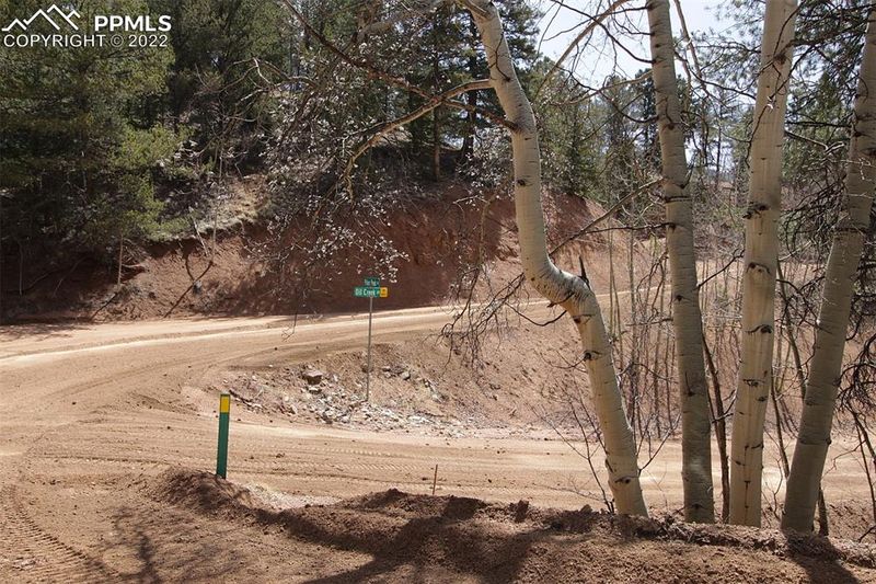 110 Oil Creek Dr, Divide, CO 80814