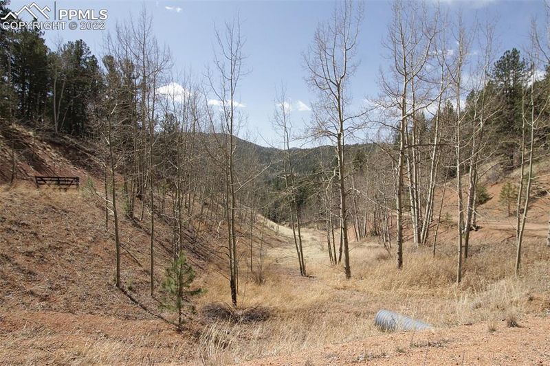 110 Oil Creek Dr, Divide, CO 80814