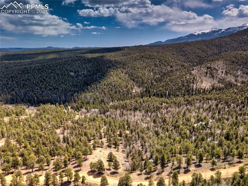 1100 S Elk Rg, Divide, CO 80814