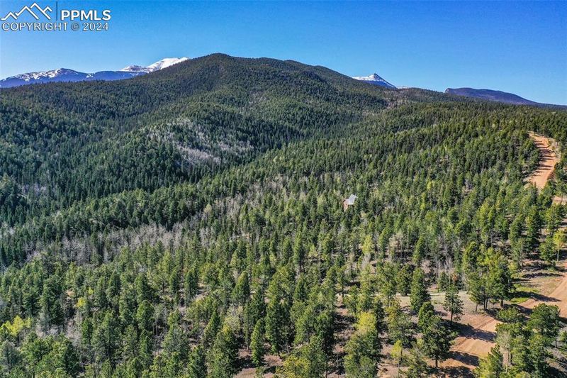 1100 Elk Ridge South, Divide, CO 80814