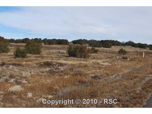 1100 Top Notch Trl, Penrose, CO 81240